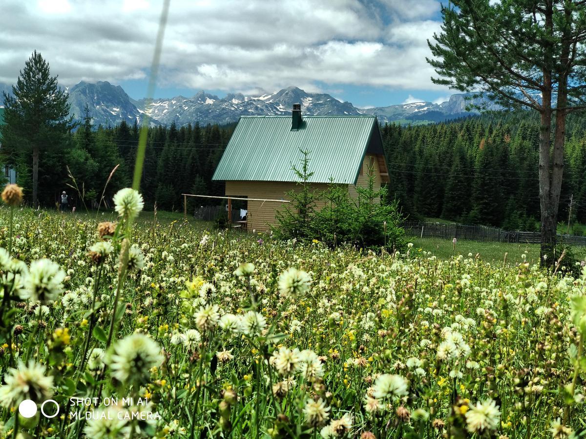Вилла Eco House Жабляк Экстерьер фото